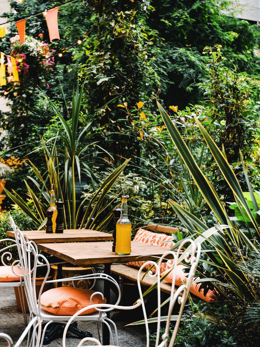 Southbank Centre Roof Garden (Queen Elizabeth Hall Roof Garden)